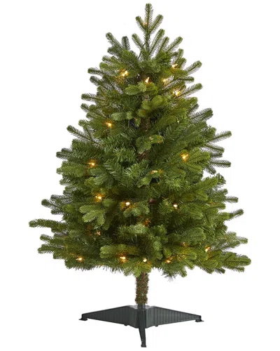 NEARLY NATURAL NEARLY NATURAL 3FT. WASHINGTON FIR ARTIFICIAL CHRISTMAS TREE WITH 50 CLEAR LIGHTS