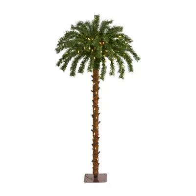 Nearly Natural 4 Foot Palm With 150 Warm White Led Lights Pre-lit Tropical Christmas Tree In Green