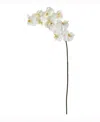 Nearly Natural 44in. Phalaenopsis Orchid Artificial Flower Set Of 3 In White