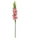 Nearly Natural 45in. Artificial Gladiolus Flower Stems