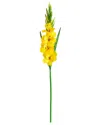 Nearly Natural 45in. Artificial Gladiolus Flower Stems
