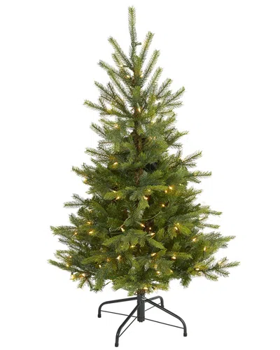 NEARLY NATURAL NEARLY NATURAL 4FT. NORTH CAROLINA SPRUCE ARTIFICIAL CHRISTMAS TREE WITH 100 CLEAR LIGHTS AND 207 BE