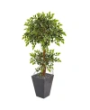 Nearly Natural 5' Variegated Ficus Artificial Tree In Slate Planter In Green
