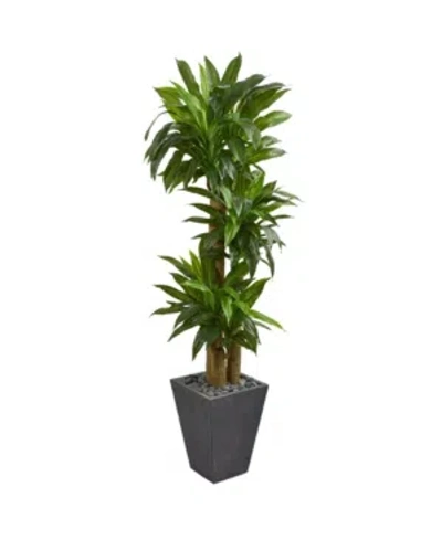 Nearly Natural 5.5' Cornstalk Dracaena Artificial Plant In Slate Planter In Green