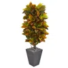 NEARLY NATURAL 5.5' CROTON ARTIFICIAL PLANT IN SLATE PLANTER