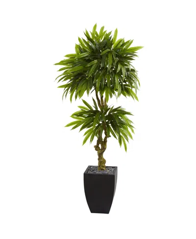 Nearly Natural 5.5' Mango Artificial Tree In Black Wash Planter Uv Resistant In Green