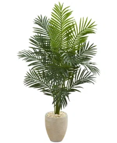 Nearly Natural 5.5' Paradise Palm Artificial Tree In Sand-colored Planter In Green