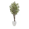 Nearly Natural 5ft. Olive Artificial Tree In White Oval Planter In Green
