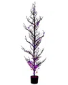 Nearly Natural 5ft. Pre-lit Artificial Halloween Black Spooky Twig Tree In Black