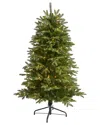 Nearly Natural 5ft. Snowed Grand Teton Artificial Christmas Tree In Green