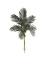 Nearly Natural 60" Artificial Cane Palm Tree No Pot In Green