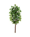 Nearly Natural 60" Artificial Double Trunk Ficus Tree No Pot In Green