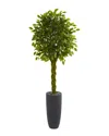 Nearly Natural 6.5ft Braided Ficus Artificial Tree