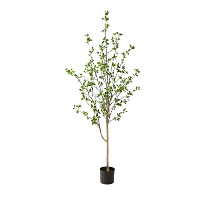 Nearly Natural 6.5ft. Minimalist Citrus Artificial Tree In Green