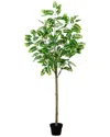 Nearly Natural 6ft Artificial Greco Citrus Tree With Real Touch Leaves In Green