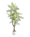 Nearly Natural 6ft Artificial Minimalist Jacaranda Tree In Decorative Planter In Green