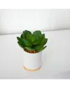 Nearly Natural 6in Succulent Artificial Plant In White Ceramic Planter