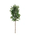 Nearly Natural 72" Artificial Double Trunk Ficus Tree No Pot In Green