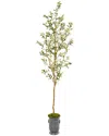Nearly Natural 7.5ft Olive Artificial Tree In Decorative Planter In Green