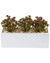 Nearly Natural 7.75"h Sedum Artificial Arrangement In Rectangular Planter In Green