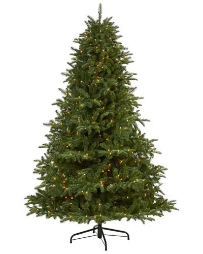 NEARLY NATURAL NEARLY NATURAL 7FT. SOUTH CAROLINA SPRUCE ARTIFICIAL CHRISTMAS TREE WITH 500 WHITE WARM LIGHTS AND 2