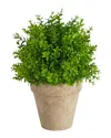 Nearly Natural 8in Boxwood Artificial Plant In Planter In Green