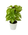 Nearly Natural 9" Pothos Artificial Plant In Planter, Real Touch In Green