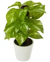 Nearly Natural 9in Pothos Artificial Plant In White Planter (real Touch) In Green