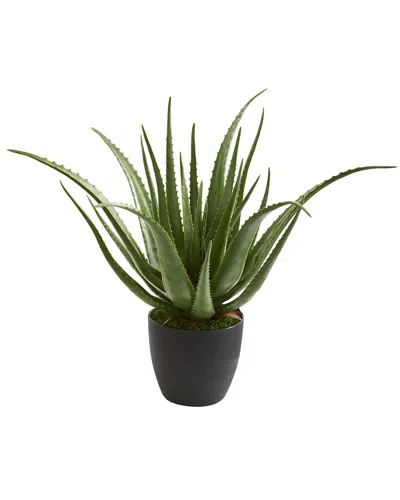 NEARLY NATURAL NEARLY NATURAL ALOE ARTIFICIAL PLANT