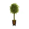 Nearly Natural Artificial Braided Ficus Tree In Green
