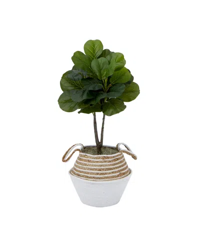 Nearly Natural Artificial Fiddle 3' Leaf Fig Tree With Handmade Cotton Jute Woven Basket Diy Kit In Cream