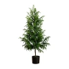 Nearly Natural Artificial Norfolk Pine 5 Foot Potted Pine Christmas Tree In Green