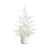 Nearly Natural 2ft. Artificial Real Touch White Norfolk Island Pine Christmas  Tree In White