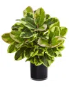 Nearly Natural Artificial Rubber Plant In Glossy Cylinder (real Touch) In Green
