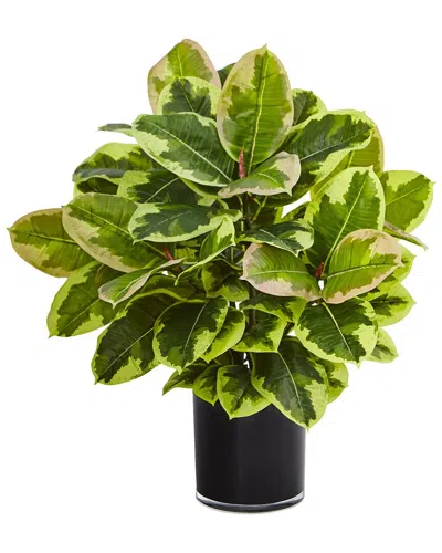 Nearly Natural Artificial Rubber Plant In Glossy Cylinder (real Touch) In Green