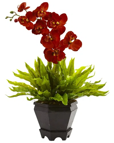 Nearly Natural Birds Nest Fern And Orchid Silk Arrangement W/ Wood Planter In Red
