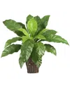 Nearly Natural Birds Nest Fern W/ Wicker Basket