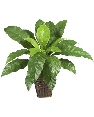 Nearly Natural Birds Nest Fern W/ Wicker Basket In Green