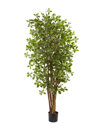 Nearly Natural Black Olive Silk Tree In Green