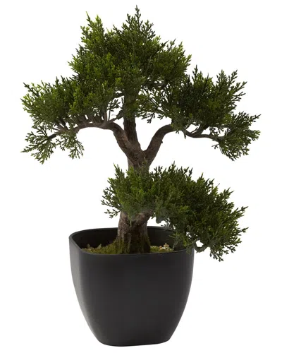 Nearly Natural Cedar Bonsai In Green