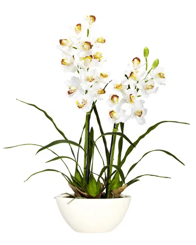 Nearly Natural Cymbidium