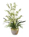 Nearly Natural Dancing Lady Silk Orchid Arrangement In Green