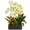 Nearly Natural Dendrobium Orchid And Bromeliad Silk Arrangement In Planter In Cream
