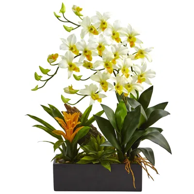 Nearly Natural Dendrobium Orchid And Bromeliad Silk Arrangement In Planter In Cream