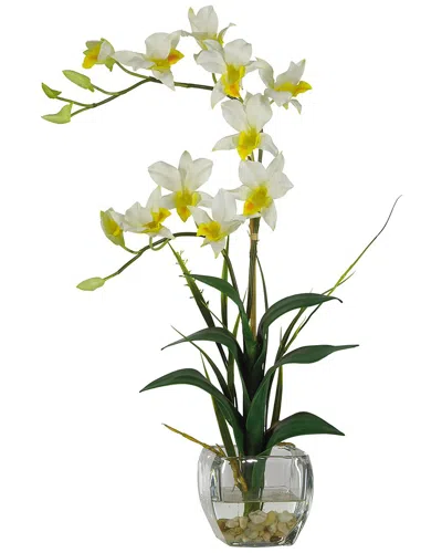 Nearly Natural Dendrobium With Glass Vase Silk Flower Arrangement In Cream