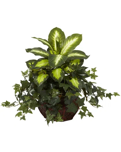 Nearly Natural Dieffenbachia And Ivy W/ Decorative Planter In Green