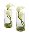 Nearly Natural Double Calla Lily W/ Cylinder, Set Of 2 In Cream