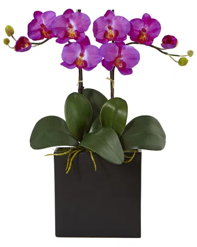 Nearly Natural Double Mini Phalaenopsis Silk Orchid In Black Vase
