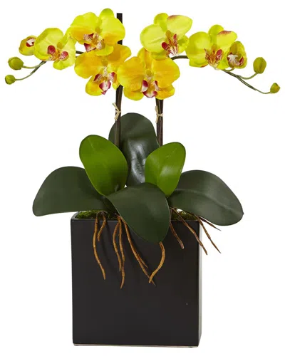 Nearly Natural Double Mini Phalaenopsis Silk Orchid In Black Vase In Yellow