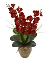 Nearly Natural Triple Stem Phalaenopsis Silk Arrangement Seasona